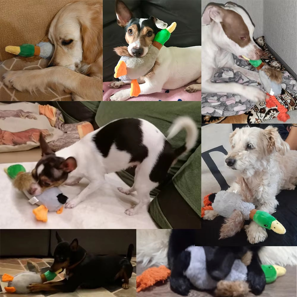 Plush Duck Squeaky Dog Toy with Chew Rope - Interactive Pet Accessory for Dental Health