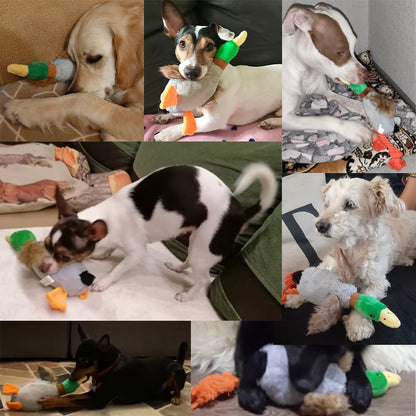 Plush Duck Squeaky Dog Toy with Chew Rope - Interactive Pet Accessory for Dental Health